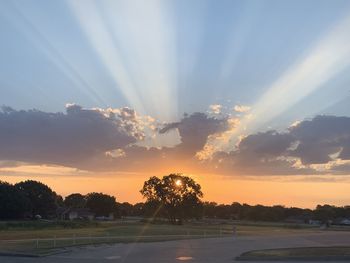 Sunlight streaming through trees on field against sky at sunrise 