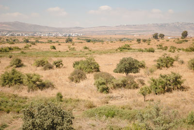 Scenic view of land against sky