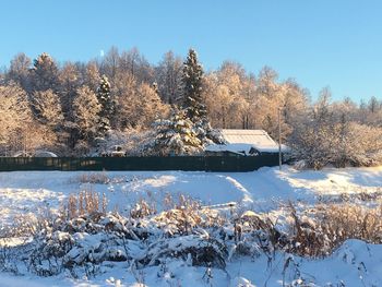 Trees on snow covered field against sky