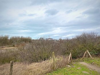 Scenic view of land against sky