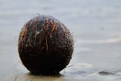 Close-up of banana ball on beach