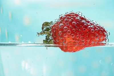 Close-up of strawberry in water