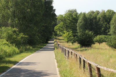 Road amidst trees against sky