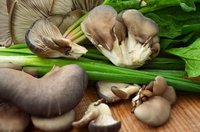 Mushrooms with scallions and spinach on table