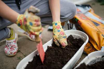 Gardener plants colorful herbs with protective gloves in garden soil.