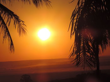 Silhouette palm tree by sea against sky during sunset