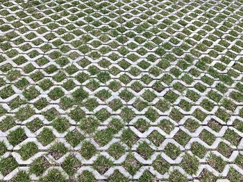 Full frame shot of snow on field