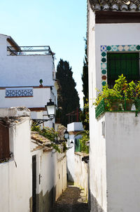Plants growing outside building against sky