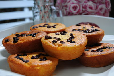 Close-up of dessert in plate