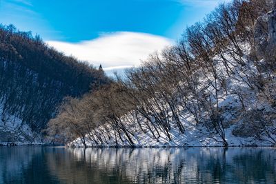 Scenic view of lake by trees against sky during winter