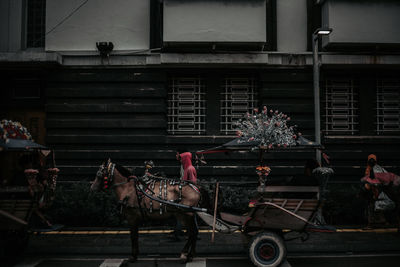 Horse cart at a tourist spot in jakarta called dokar