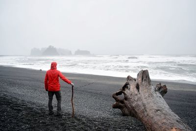 Man standing by dead tree at beach against sky