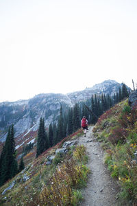 Rear view of man walking on mountain against clear sky