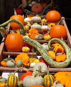 Pumpkins in market stall during autumn