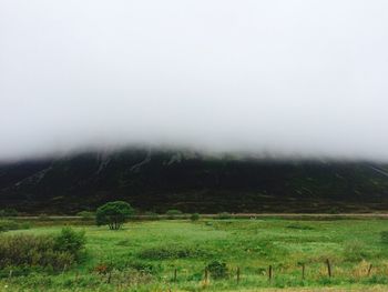 Scenic view of grassy field in foggy weather