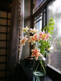 Close-up of flowers in vase on window sill