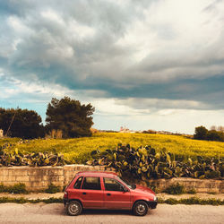 Car on field by trees against sky