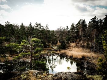 Scenic view of river against cloudy sky