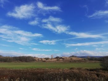 Scenic view of field against sky