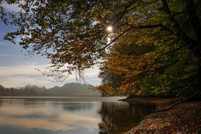 Scenic view of lake against sky during autumn