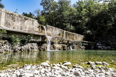 Scenic view of lake in forest against sky