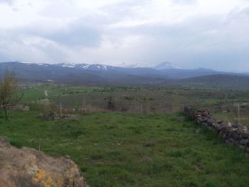 Scenic view of field against sky