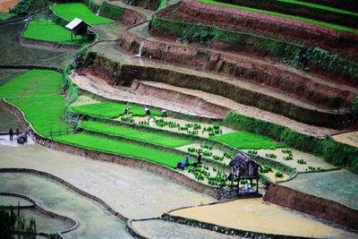 High angle view of agricultural field