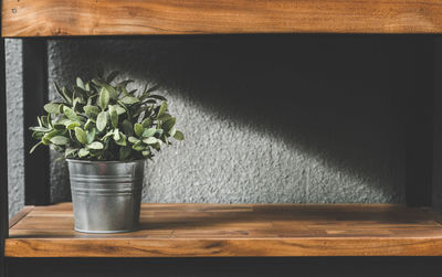 Close-up of potted plant on table