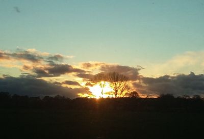 Silhouette trees against sky during sunset