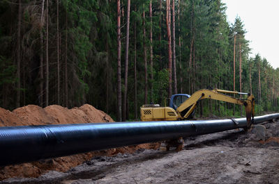 Construction site in forest