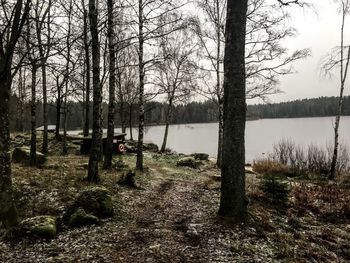 Scenic view of lake against trees in forest