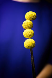Yellow flowers near the heart viii