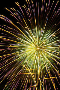 Low angle view of firework display at night