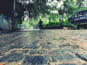 Rear view of man walking on street in city