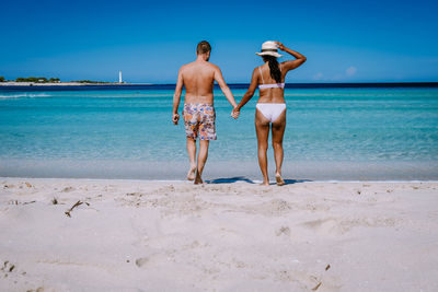 Rear view of friends on beach