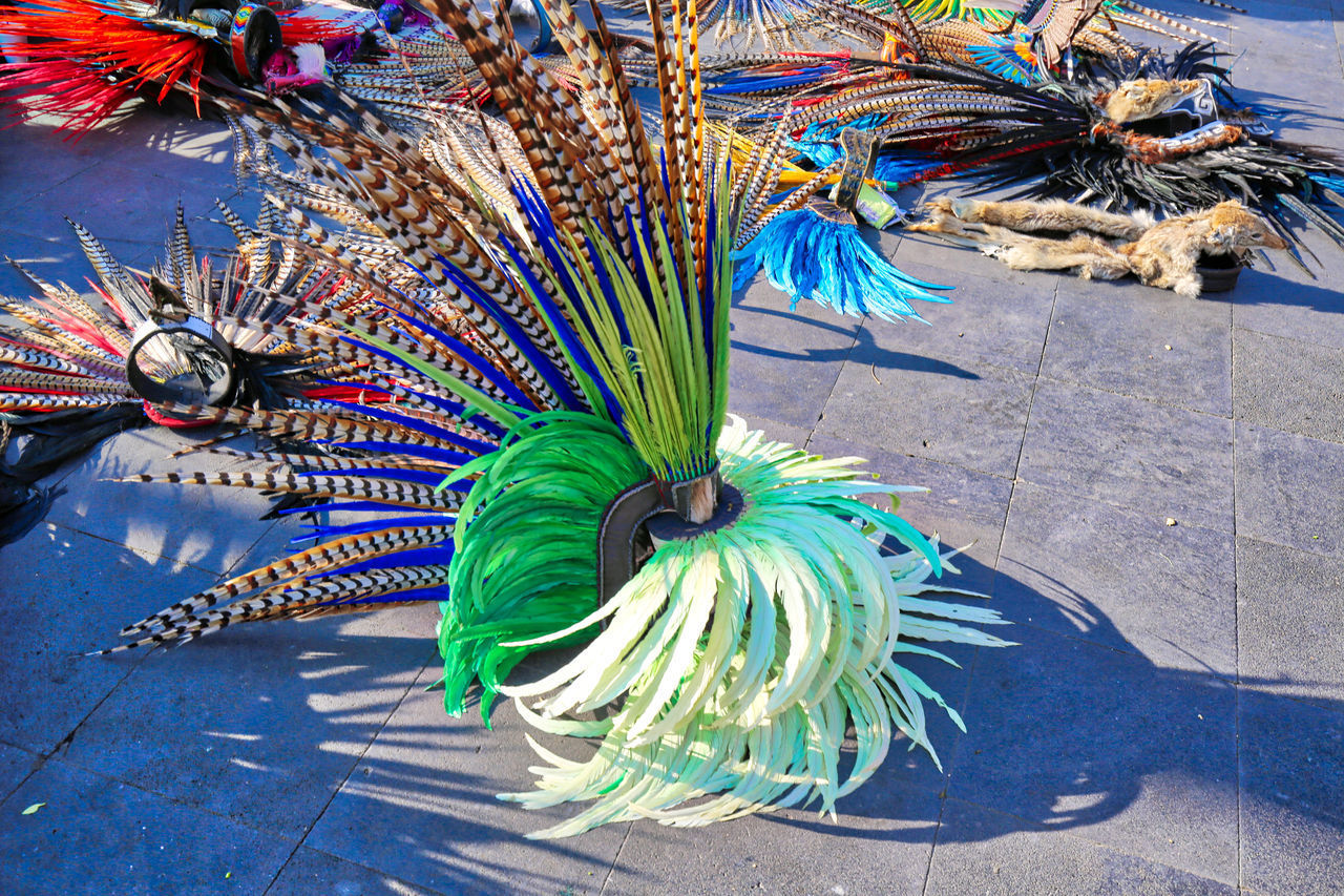 HIGH ANGLE VIEW OF PEACOCK FEATHER ON SEA SHORE