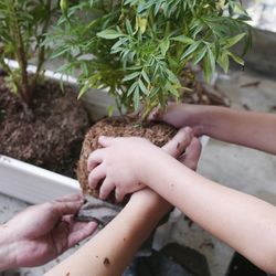 Cropped hands of people holding plant