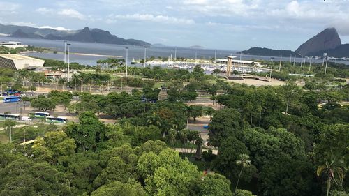 High angle view of trees on beach