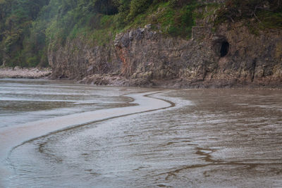 Scenic view of road amidst trees
