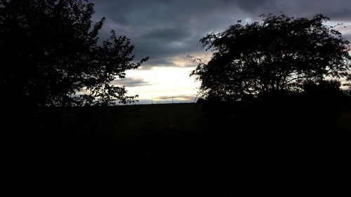 Silhouette trees against sky during sunset