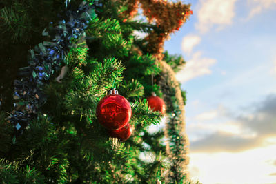 Low angle view of christmas tree against sky