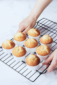 Women's hands holding cooling rack with muffins