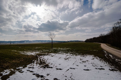 Scenic view of field against sky