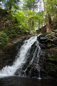 Stream flowing through rocks in forest