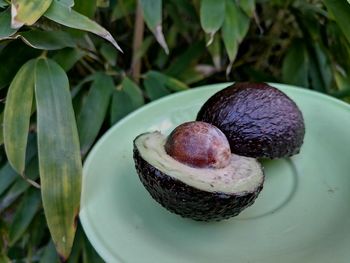 Close-up of fruits in plate