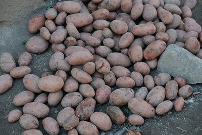 High angle view of pebbles in container