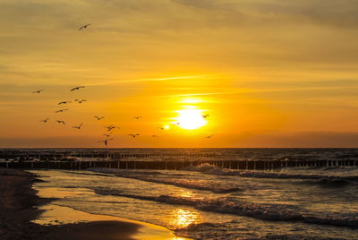 Scenic view of sea against orange sky