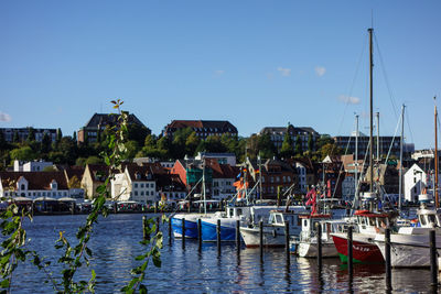 Sailboats moored in harbor