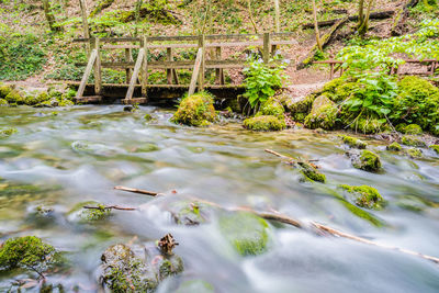 Scenic view of river flowing through rocks in forest