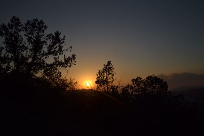 Silhouette trees against sky during sunset